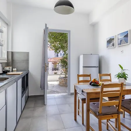 公寓 Sinioritsa's House 斯科派洛斯